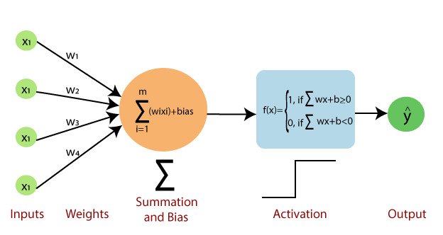 입력과 가중치, 가중합, 계단 함수, 출력으로 이어지는 퍼셉트론